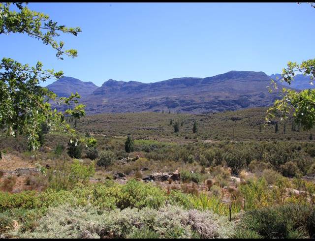 86HA FARM FOR SALE IN CERES RURAL